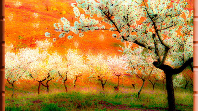 Naturaleza