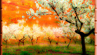 Versos para orar en la NATURALEZA 1