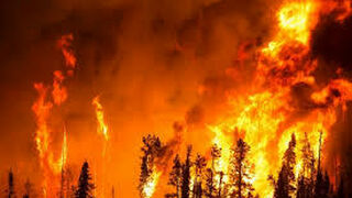 El reino lleva a padecer persecución y martirio