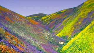 Versos para orar en la NATURALEZA 3