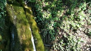 "Volver a la fuente"