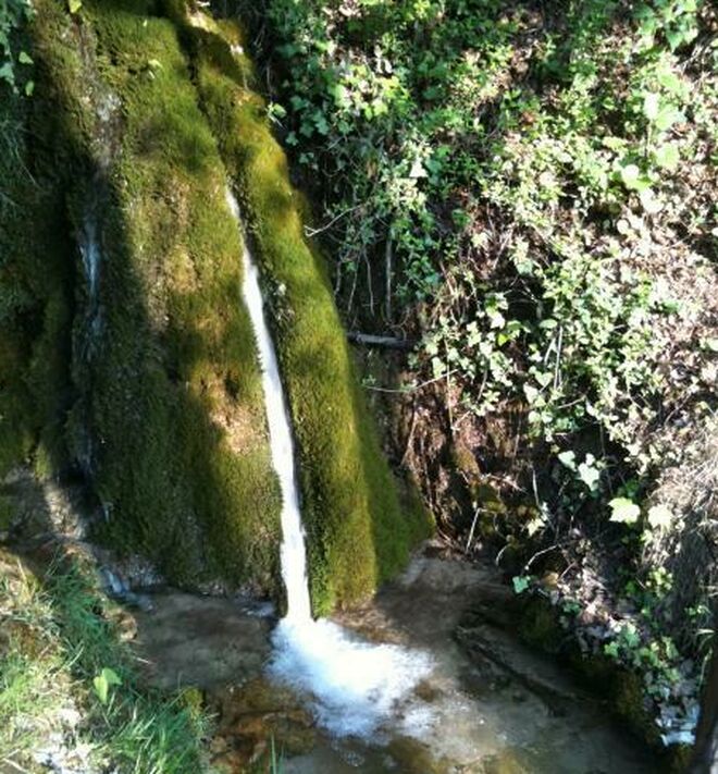 "Volver a la fuente"