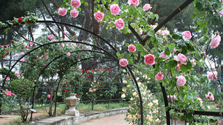 Versos que BUSCAN A DIOS y3