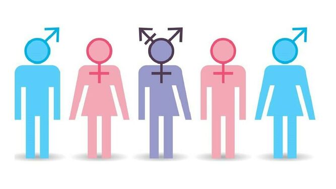 Símbolos transgender
