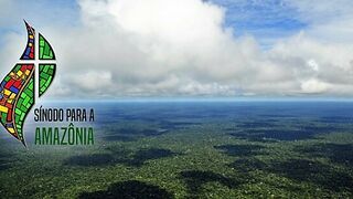 Desafíos tras el Sínodo para Amazonía