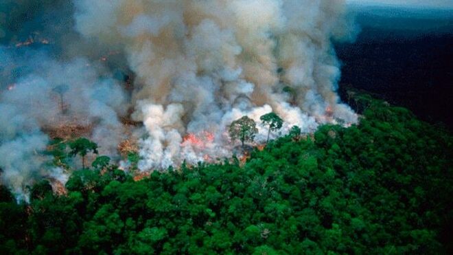 El CELAM levanta la voz por la Amazonía