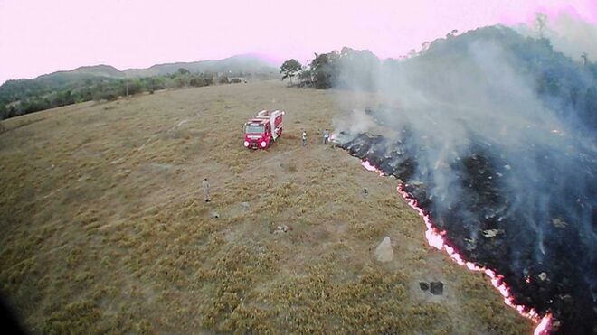 Arde Amazonas