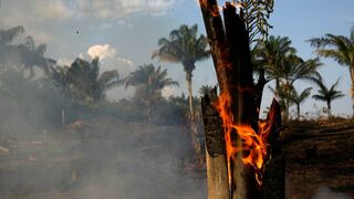 Amazonía en llamas