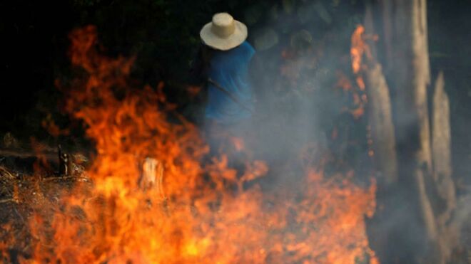 Desastrosos incendios en el Amazonas