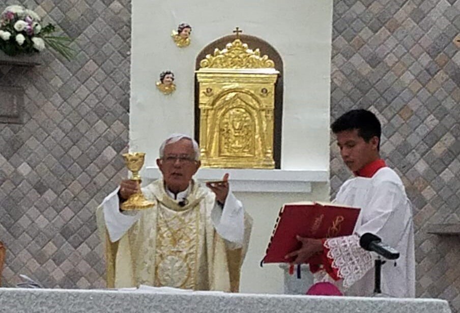 Proaño6