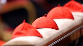 Capelos cardenalicios