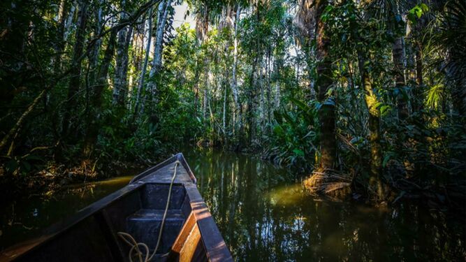 Amazonía peruana