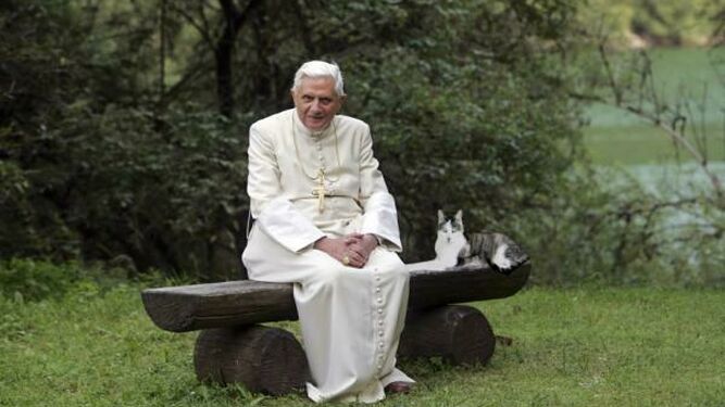 Benedicto XVI. Papa verde.