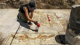Fotografía facilitada por el Instituto Zinman de Arqueología de la Universidad de Haifa, de la arqueóloga Jessica Rentz limpia el mosaico, en la que se ven las figuras de dos aves y una inscripción en griego