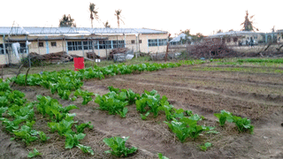 Lar San Jerónimo (Beira, Mozambique)