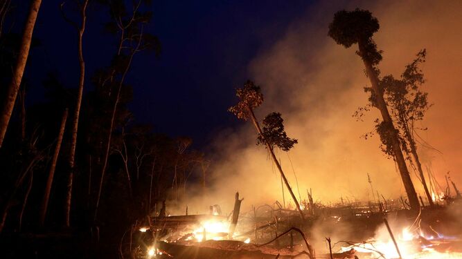 Incendios en el Amazonas