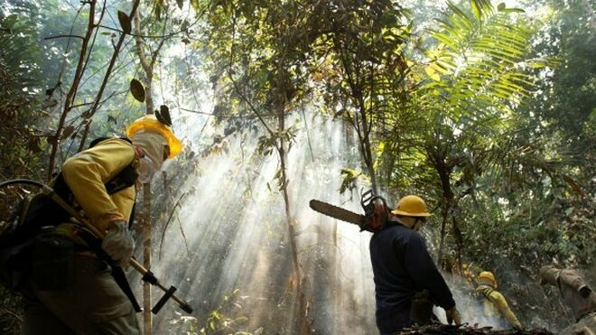 Proteger al Amazonas