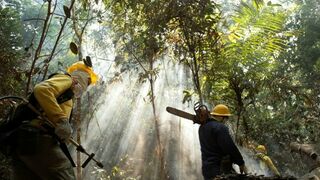Proteger al Amazonas