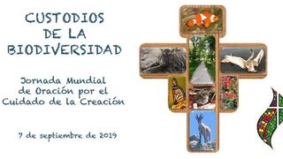 Católicos y ortodoxos madrileños celebran la Jornada Mundial de Oración por el Cuidado de la Creación