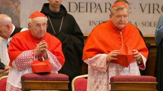 Los cardenales Brandmüller (i) y Burke