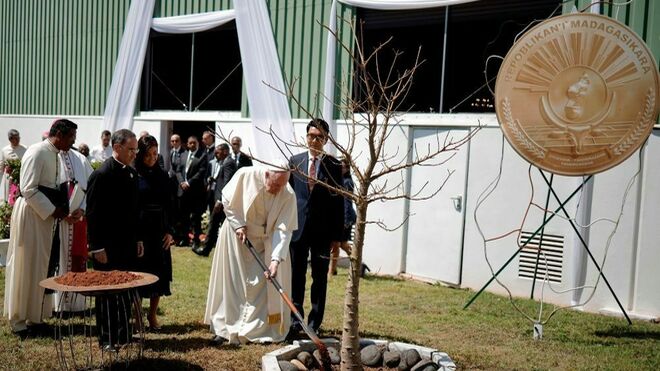 El Papa plantó un baobab