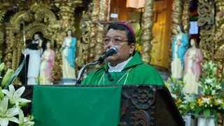 Monseñor Pesoa