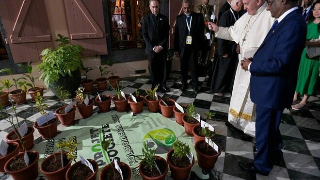 El Papa bendijo unos árboles que replantarán parte de Mauricio