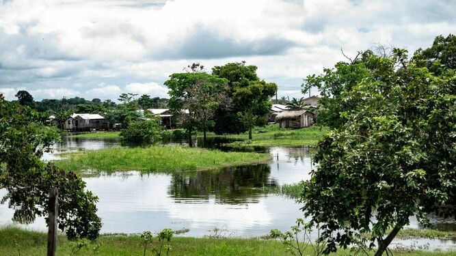 Aldea de la tribu de los Mura en Brasil