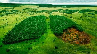 La Amazonía de todos