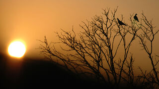 Santificar EL DÍA 1