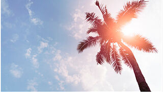 Santificar EL DÍA. 2