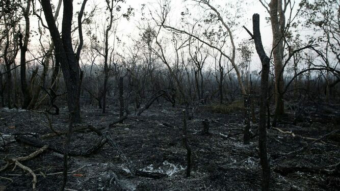 Panorama tras el incendio de La Chiquitania donde tres bomberos perdieron la vida