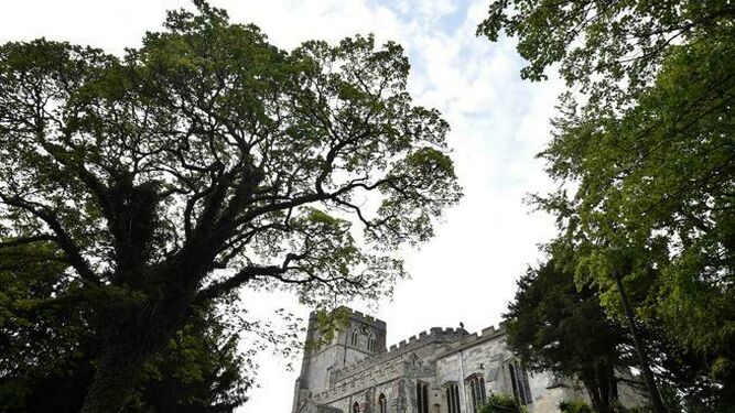 Bosque alrededor de una iglesia medieval