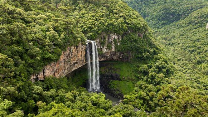 El extractismo amenaza la naturaleza en Colombia