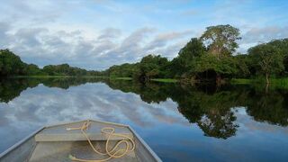 Claves teológicas para el Sínodo de la Amazonía