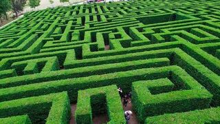 Laberinto de Villapresente