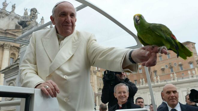 El Papa y la ecología
