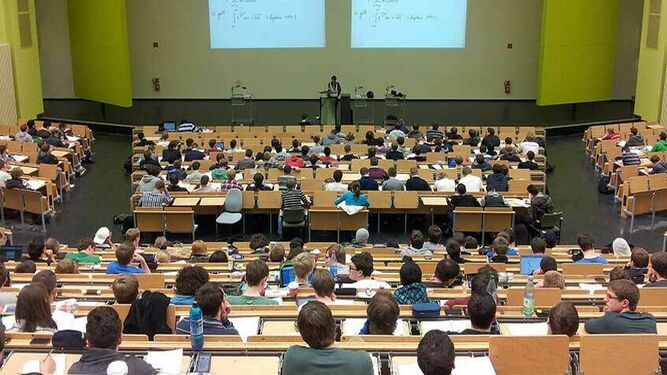 Educación superior