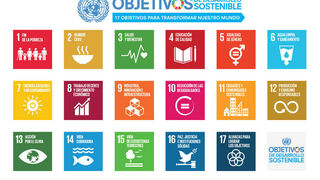 Cuatro años de los Objetivos de Desarrollo Sostenible y de la Agenda 2030