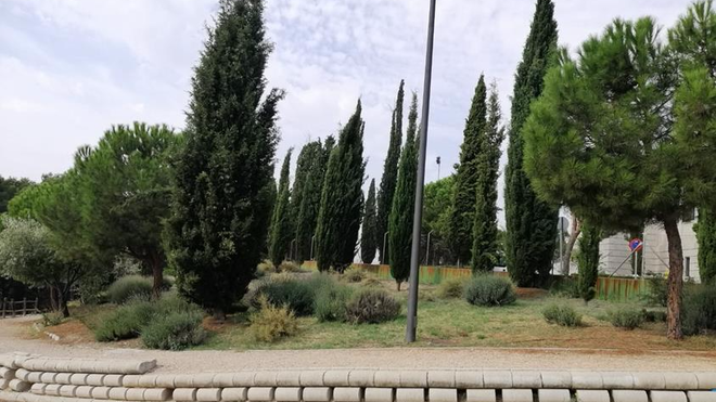 Espacio donde se instalará el Olivar Centenario, Getafe