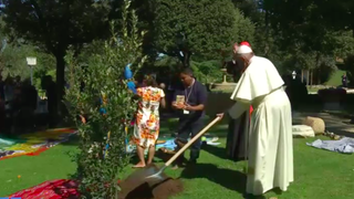 Francisco planta la encina