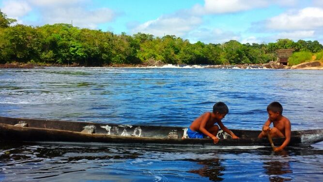 Sínodo para la Amazonía, nuevos caminos para la Iglesia y para una ecología integral