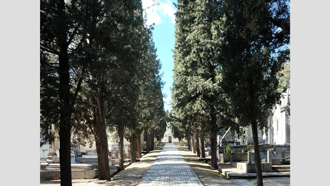 Cementerio de San Isidro