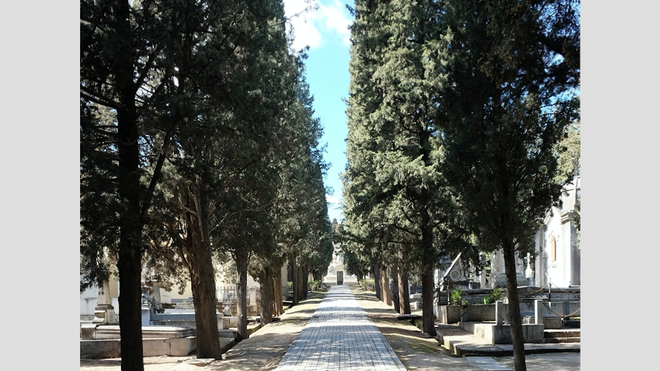 Cementerio de San Isidro