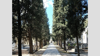 Cementerio de San Isidro