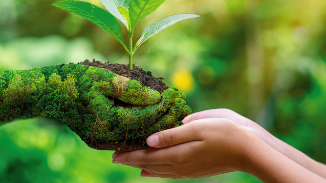 Cuidar el planeta es crear futuro
