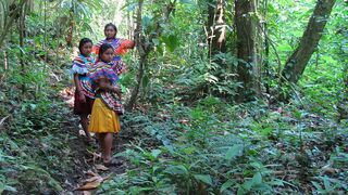 Cuidemos “nuestra propia Amazonia”: Obispos de México