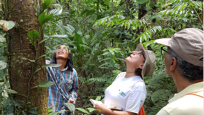 Observando la naturaleza