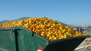 Contra el desperdicio de alimentos