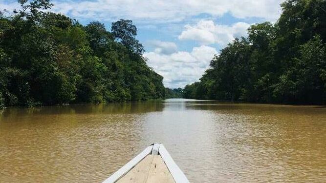 Amazonía